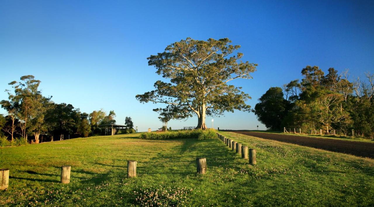 Oaks Toowoomba Hotel Dış mekan fotoğraf